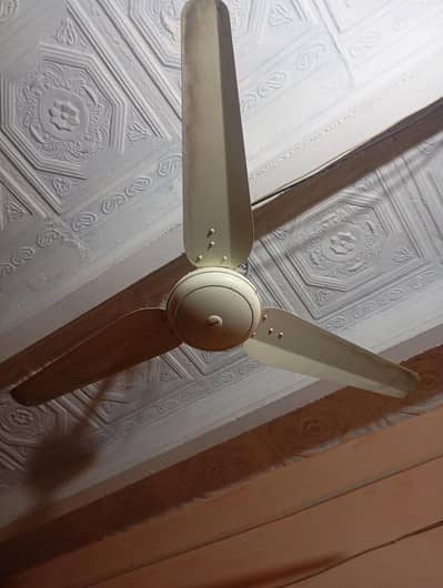 ceiling fan