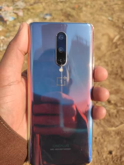 oneplus 8