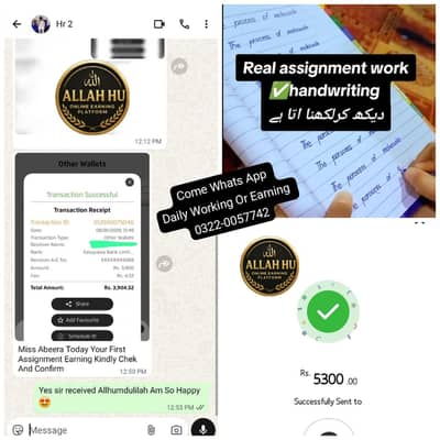 Hand Writing Assignment Work,Data Entry Or Ms Typing Work Available