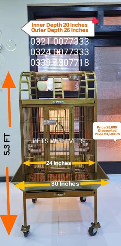 Grey parrot and macaw cage
