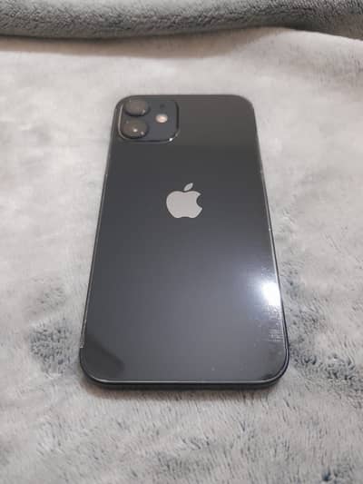 Iphone 12 mini lush piece