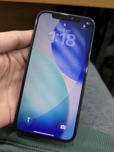 iPhone 12 256GB PTA Approved