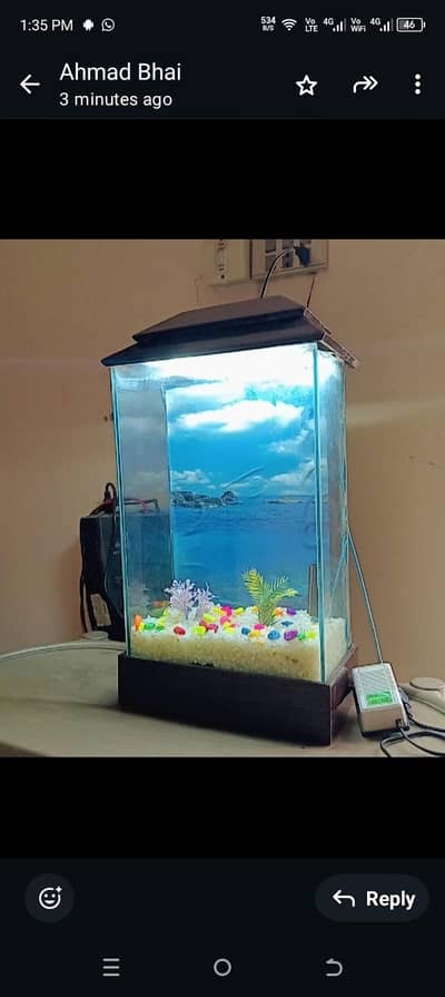 Fish Aquarium