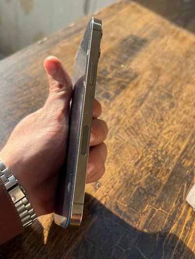 Iphone 12 pro max approved