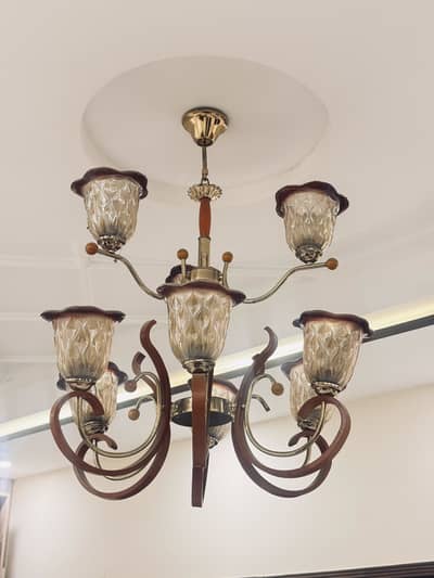Antique chandelier for Lounge
