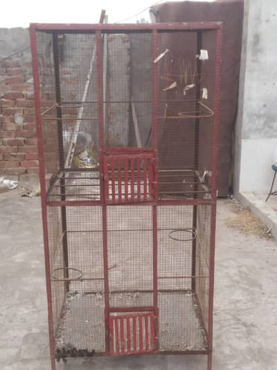 birds cage