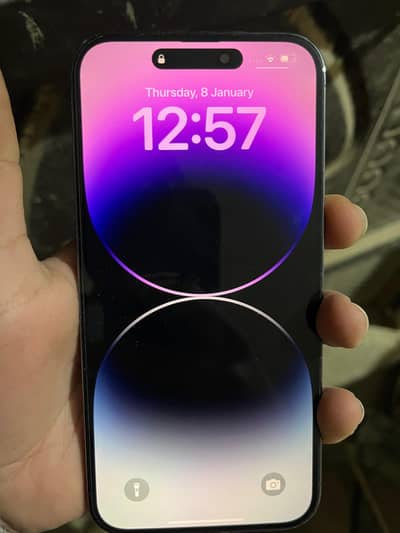 14 pro max non pta 256gb