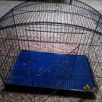 1 month used cage