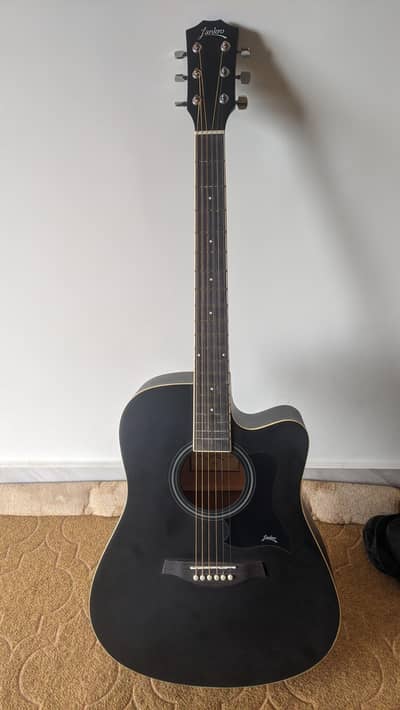 Lankro Acoustic Guitar