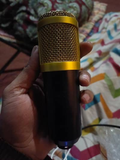 BM800 MIC