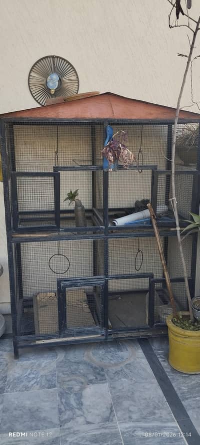 birds cage