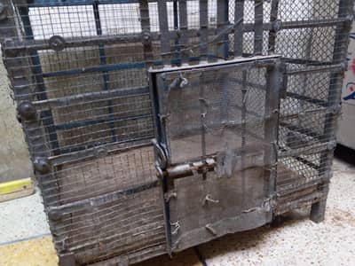 iron cage for all birds