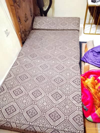 sofa cum bed molty form