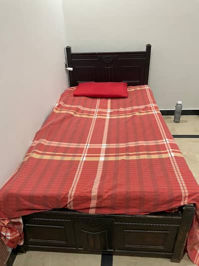 Single Bed With 2 Single Mattress