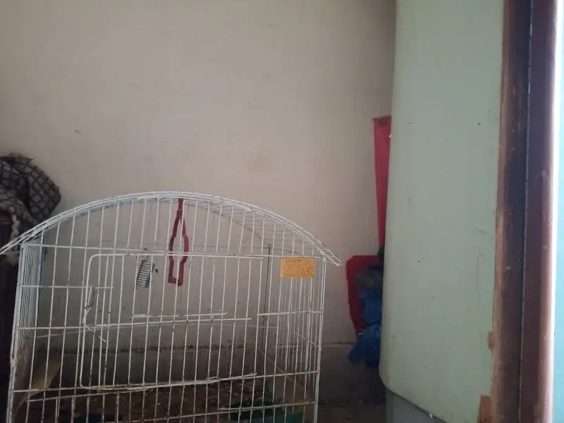 bird cage for sale in cheap price anyone interested contact — photo 2