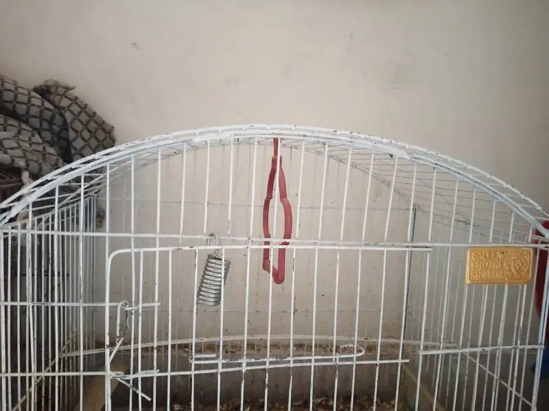 bird cage for sale in cheap price anyone interested contact — photo 3
