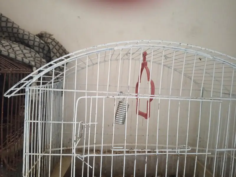 bird cage for sale in cheap price anyone interested contact — photo 4