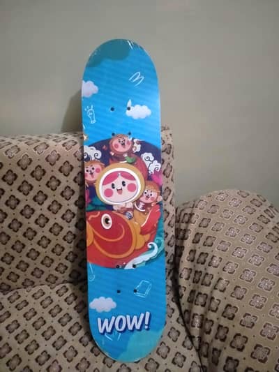 Skateboard/ full size skateboard