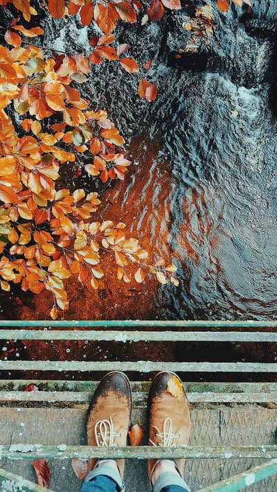 I need job - Home helper