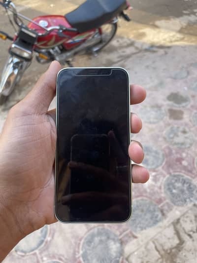 Iphone 12 Mini (Mint Green)