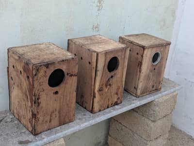 Lovebirds Keekar Boxes and Hen food feeder