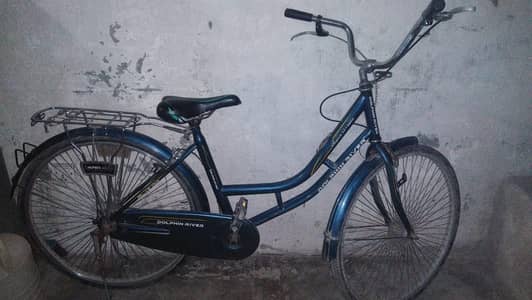 bicycle dolphin river