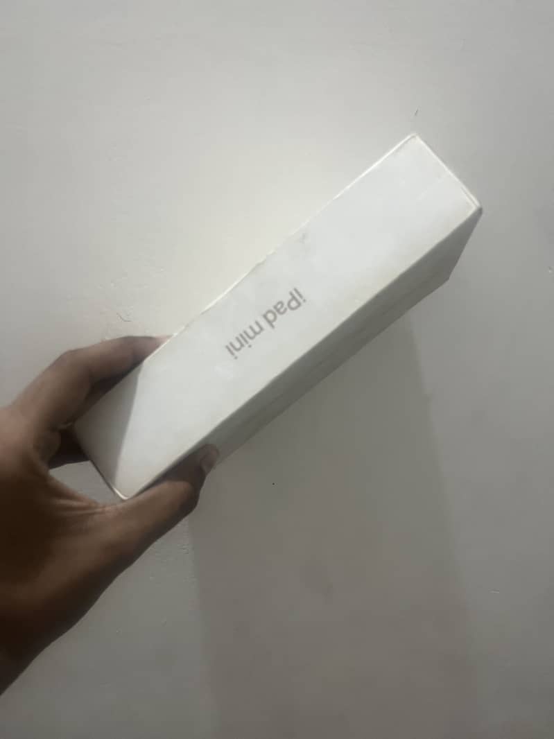 Ipad Mini 5 11