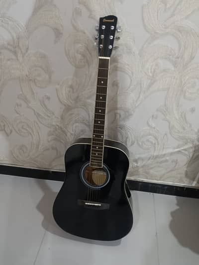 Acoustic guitar