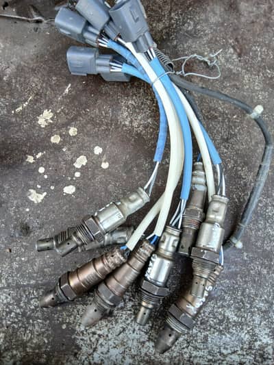 Yaris oxygen sensor