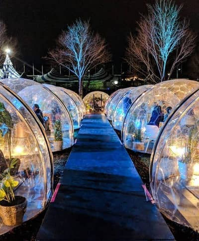 Executive Chef/ Head chef