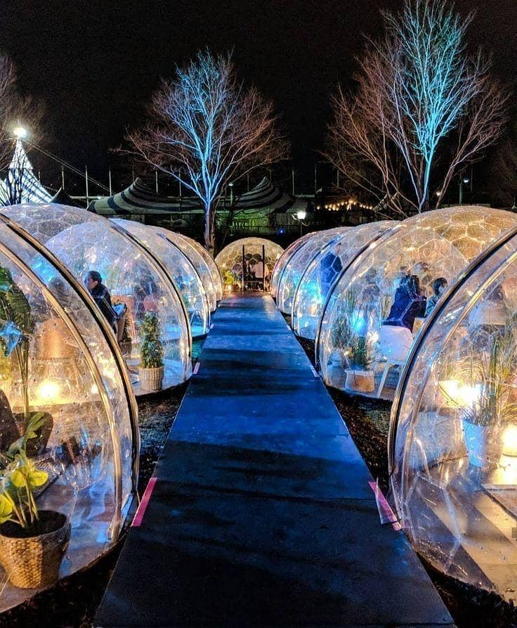 Executive Chef/ Head chef 0