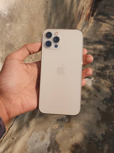 IPHONE 12 PRO (READ DESCRIPTION)