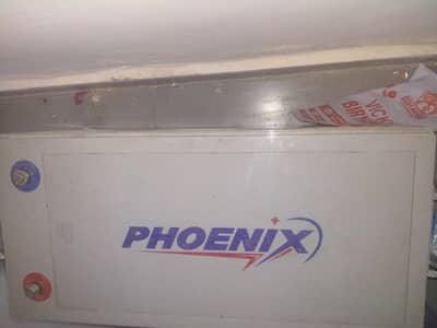 Phoenix Dry Battery
