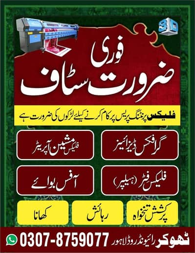 Need Graphic Designer