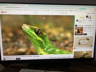 Lenovo ThinkVision P32p-20 32” 4K Monitor – Excellent Condition 10/10