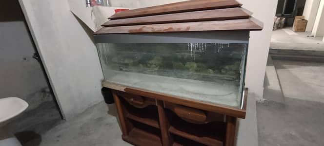 Fish Aquarium in Excellent condition