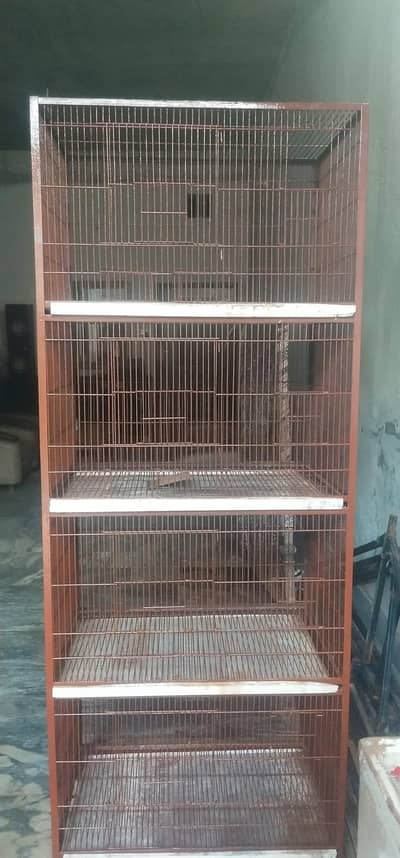 birds cage for sale