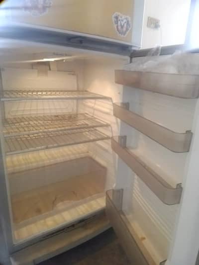 refrigerator medium size