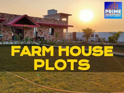 Farmhouse & Cattlefarm Land