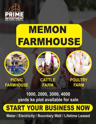 Farmhouse & Cattlefarm Land