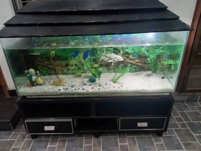 Fish Aqurium for sale