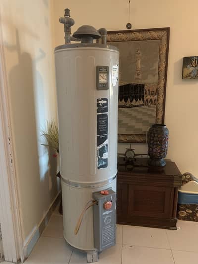 Nasgas (DLX35)  Deluxe 35 gallon Gas geyser