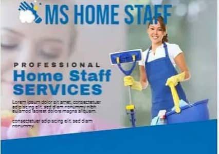 M. S. Employment company reg