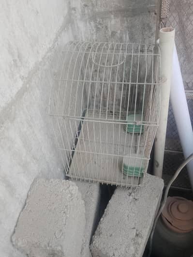 Frame 3 by 3 and Small Cage