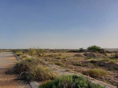 125 Yards Residential Plot For Sale.