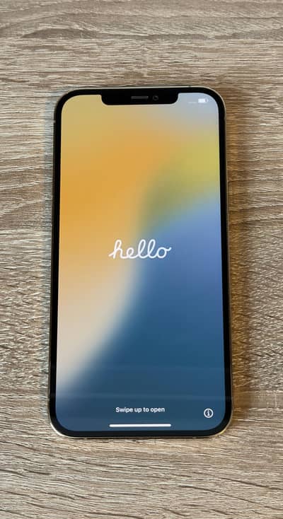 Apple iPhone 12 Pro Max