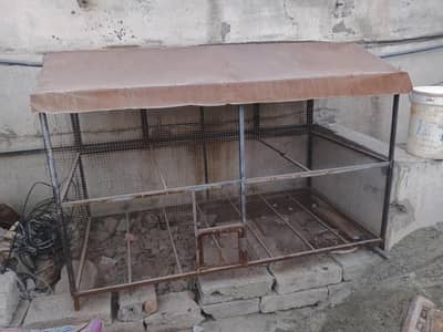 birds cage