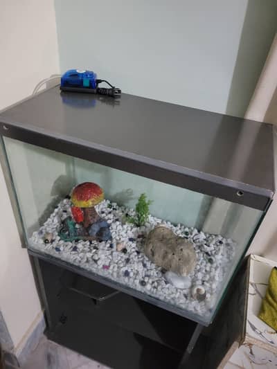 2Ft Fish Aquarium without accessories