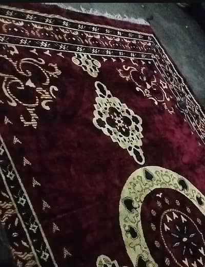 Living Room rug. . big size. .