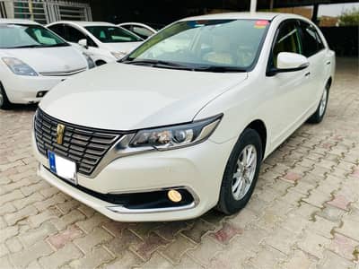 premio xex Pearl White bumper to bumper